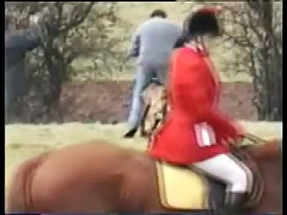 Ban hare coursing in Ireland