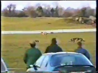 Ban Coursing in Ireland