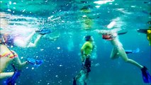 GoPro Hero 3  Snorkeling ~ Cozumel, Mexico