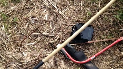 Freak nasty buck skull and carcass