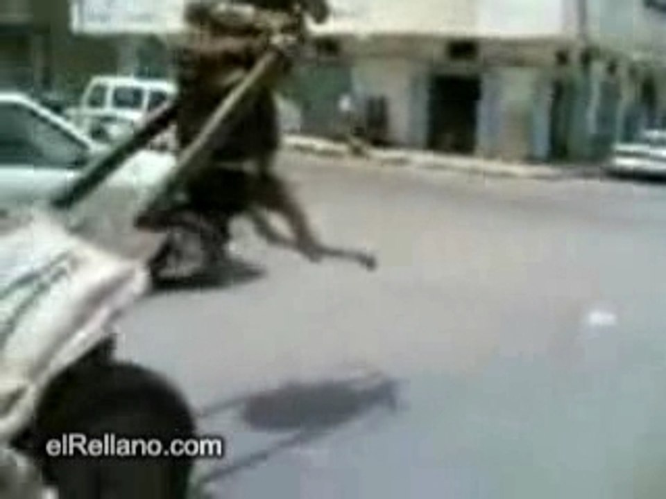 Mule Chargée