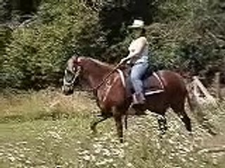 Obstacles and Maneuvers