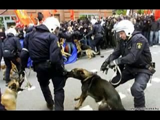 Gyurcsány Takarodj! Vidd az összes haverod!