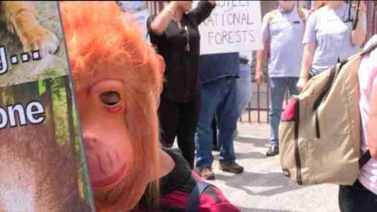 Nestlé, en el punto de mira por la grave sequía en California Vídeo