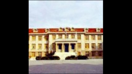 Το ξύλο βγήκε απ' τον παράδεισο