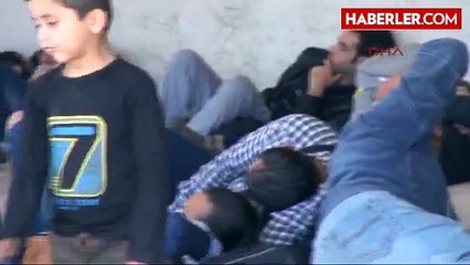 Bodrum'da Üç Ayrı Noktada Toplam 176 Kaçak Yakalandı