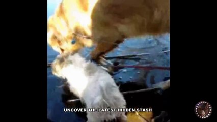 FBI JACK ! LEAKED CLASSIFIED UNDERCOVER VIDEO!!!