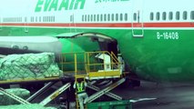 EVA AIR Boeing 747 COMBI In-Flight Taipei to Manila Economy Experience