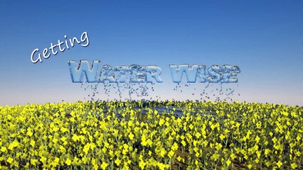 The True Cost of Water mini-case (GWWA-004-05 - Getting Water Wise Alberta series)