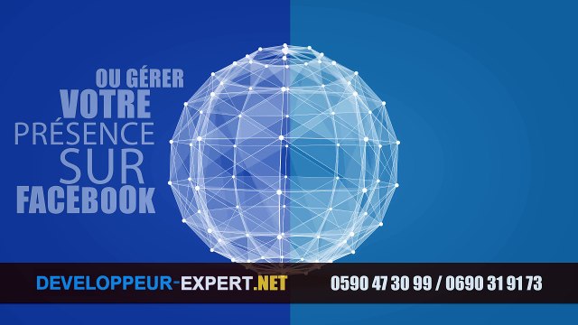 Développeur Expert