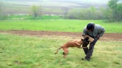 Smoke Jameson Updated (10 Months)