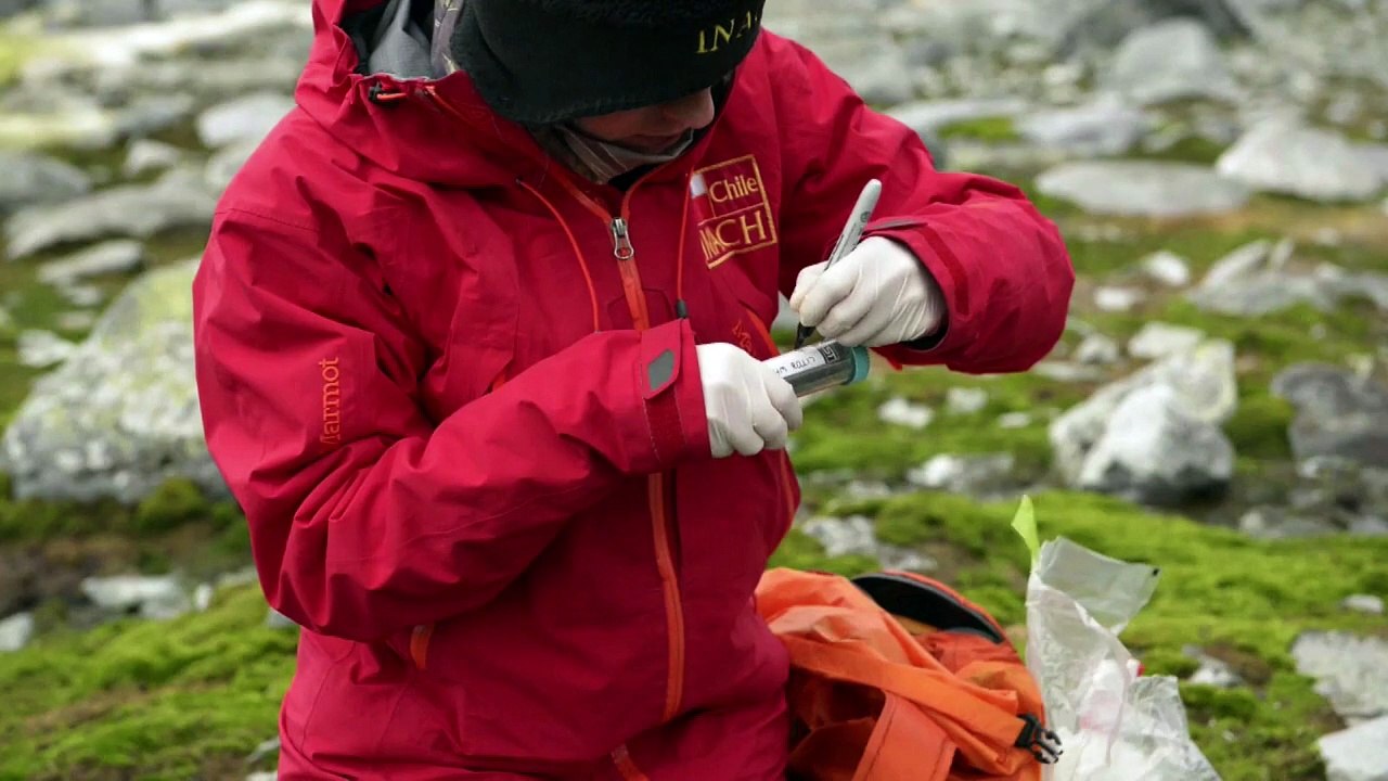 Científicos chilenos estudian superbacterias en Antártida