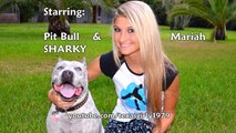Pit Bull Sharky and Cute Chicks! Peace for PIT BULLS!