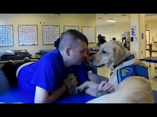 Galion Therapy Dog Shepherd Center