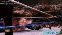 Wwf Shawn Michales vs British Bulldog - King of the Ring 1996 Highlights