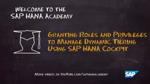SAP HANA Academy - Granting Roles and Privileges Using the SAP HANA Cockpit