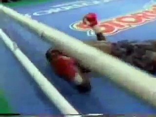 Julian Jackson savagely KO's Herol Graham