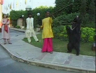 Dancing Bears in India and Pakistan - WSPA