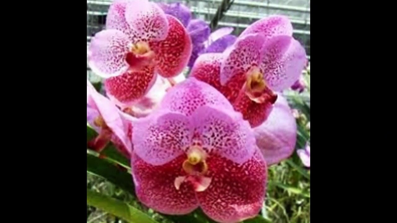 Instrumental Background Music - relaxdaily B-Sides N°2 - for concentration, studying, relaxing