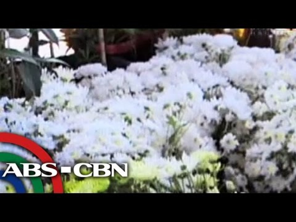 Bakit nagtaas ang presyo ng bulaklak?