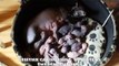 15 sphynx kittens - Канадский сфинкс