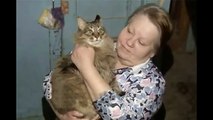 Gato salva la vida a bebé | Gatos y Catlovers