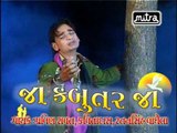 Gujarati Love Songs - Dal Tutyo ne Roi Roi - Ja Kabootar Ja