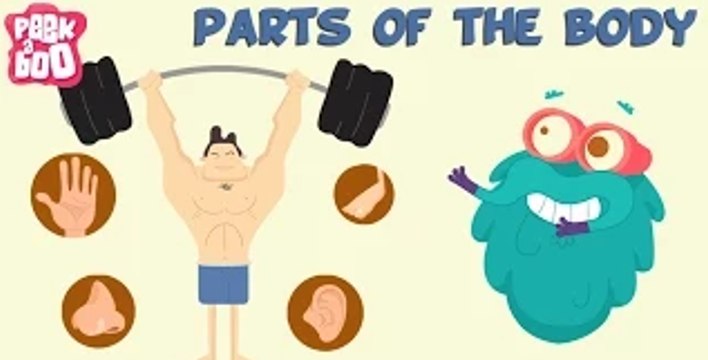 Parts Of The Body | The Dr. Binocs Show | Learn Series For Kids