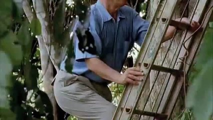 David Attenborough Sneaks up on a Sloth