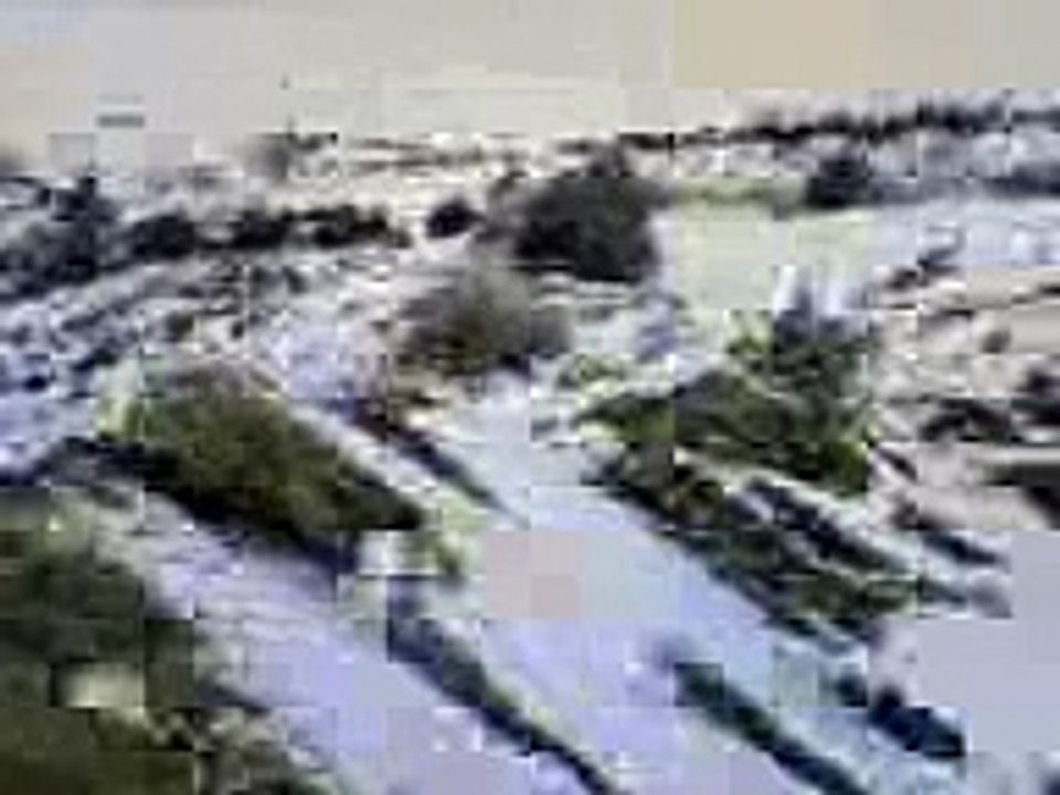 tavşan avı
