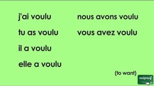 Conjugaison Du Verbe Vouloir Au Pass Compos De L indicatif Vid o 
