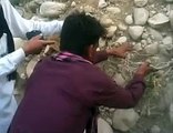 Harral boy in D.G KHan video song Edit by M.Shahbaz Moin   0342-4850447