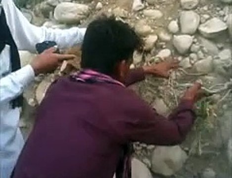 Harral boy in D.G KHan video song Edit by M.Shahbaz Moin 0342-4850447