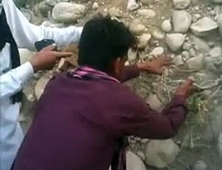 Harral boy in D.G KHan video song Edit by M.Shahbaz Moin   0342-4850447