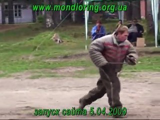 Mondioring - training of dogs