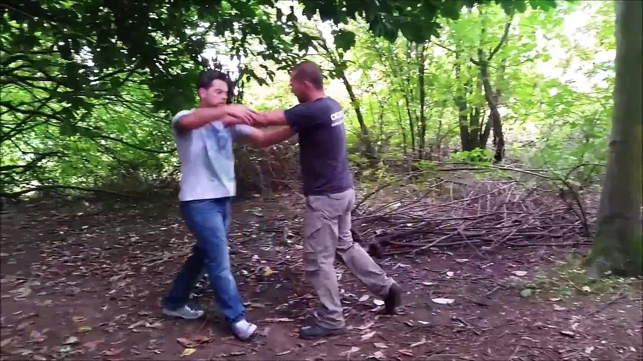 REAL SYSTEMA FIGHT