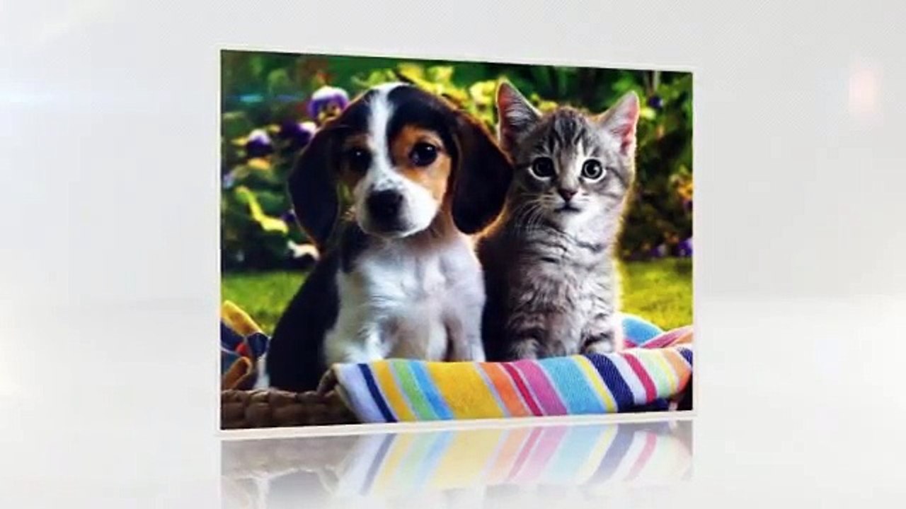 How To Quit Drinking Wine Naturally With Simple Tactics