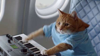 Delta's Weird New Safety Video Has Every Meme And Internet Personality Ever