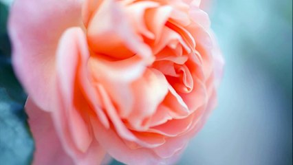 小川龍一　【クラシック名曲】1