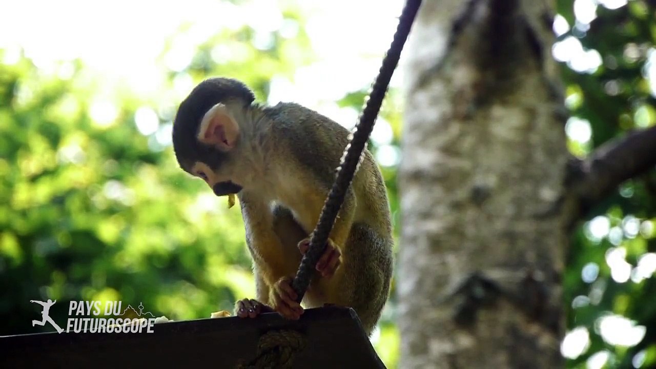 Le pays du Futuroscope