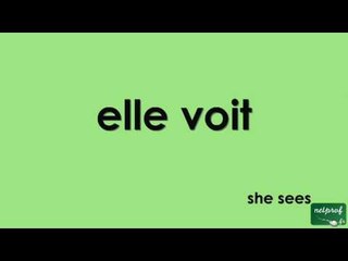 Conjugaison du verbe voir au présent de l'indicatif