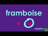 Apprendre le vocabulaire et les articles en français - Fruits