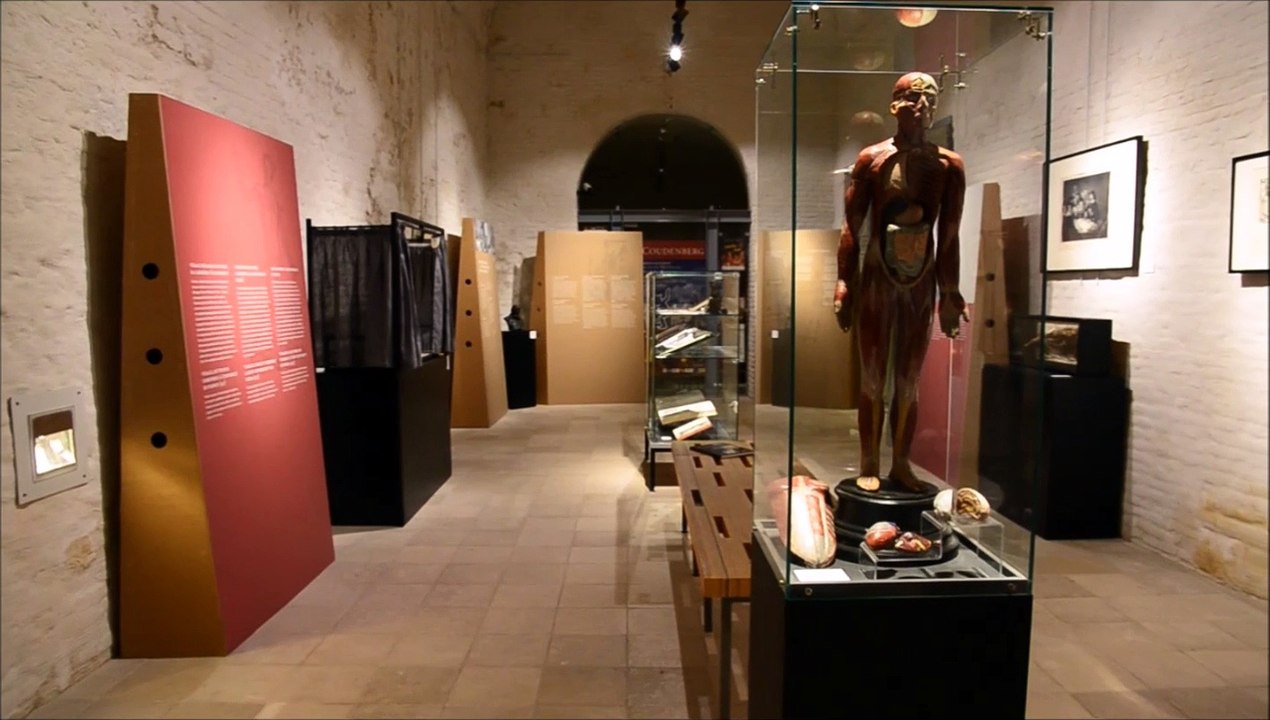 "Vésale, médecin de Charles Quint" - Exposition au Coudenberg - Ancien Palais de Bruxelles