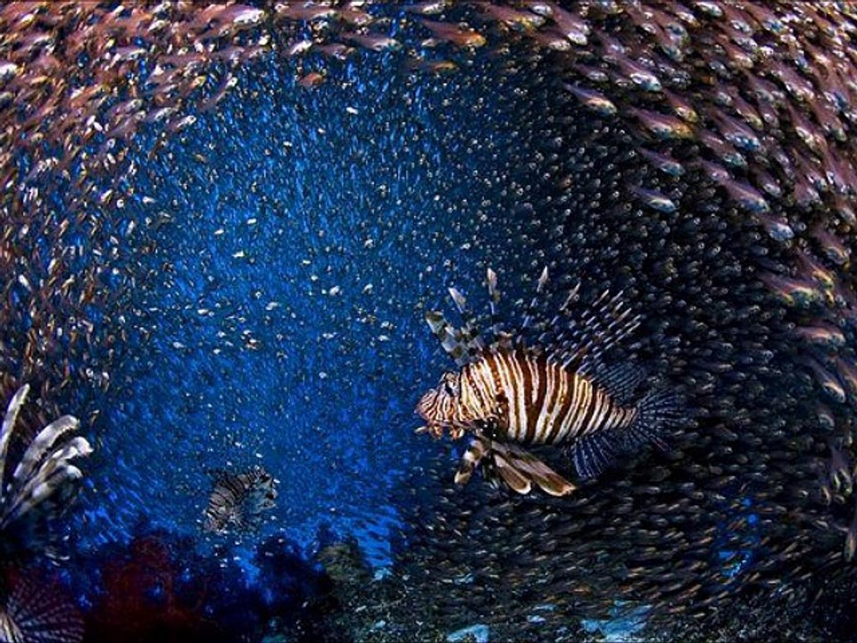 tour a luxor desde hurghada