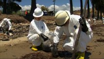 Etat d'urgence sur les plages de Californie après la fuite d'un oléoduc