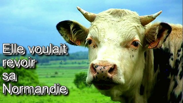 Elle voulait revoir sa Normandie par Jean-Loup