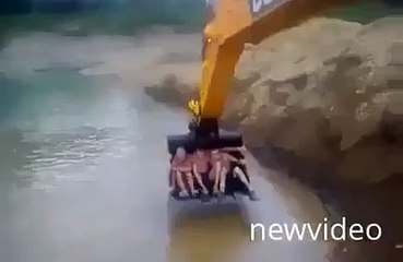 Check out the funny fools