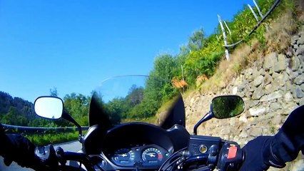 Tour al Santuario di Belmonte e Santa Elisabetta