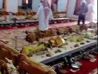 عربیوں کا ولیمہ چیک کرو