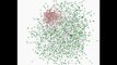 Simulating homophily mechanism and clique formation